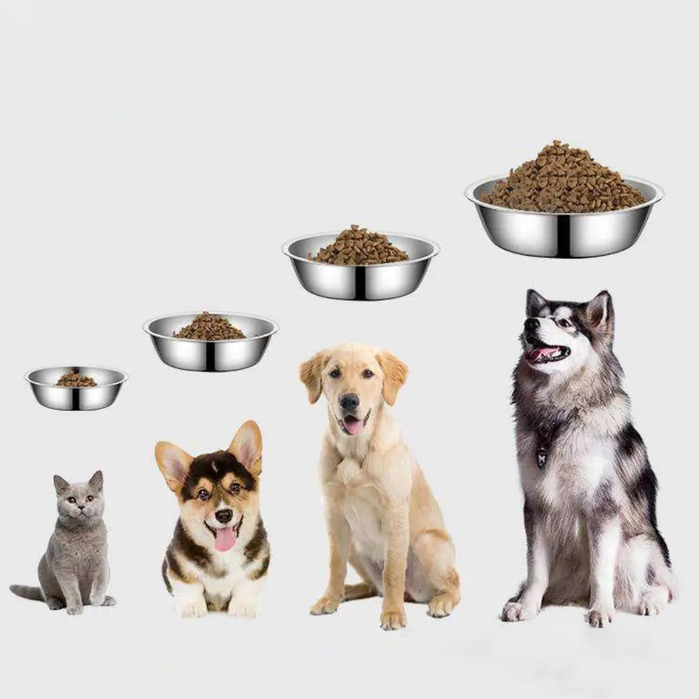 Pet Supplies Large Capacity Dog Bowl Non-rust Stainless Steel Cat Water Feeder Bowls Silver Pet Food Container Kitten